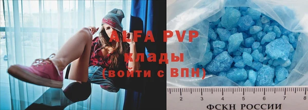 стафф Вяземский