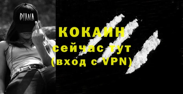 стафф Вяземский