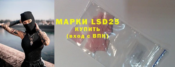 стафф Вяземский