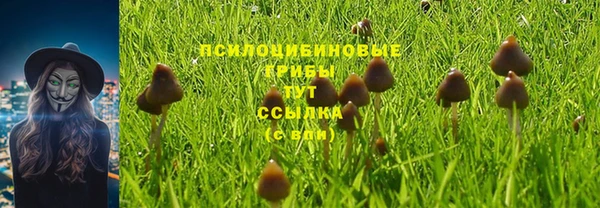 стафф Вяземский