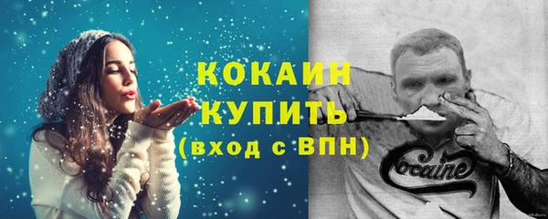 стафф Вяземский