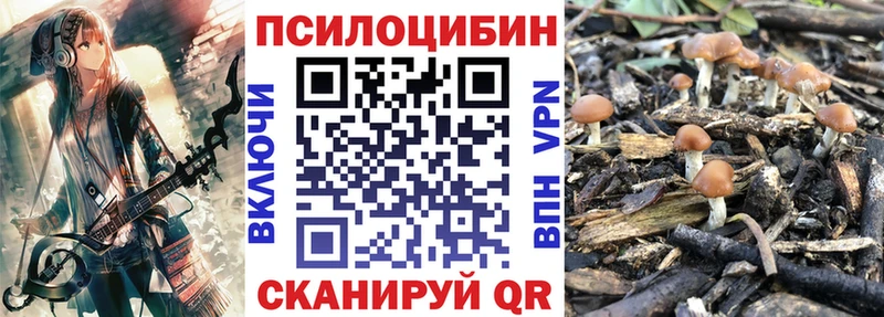 Купить где  Никольск  Галлюциногенные грибы мухоморы 