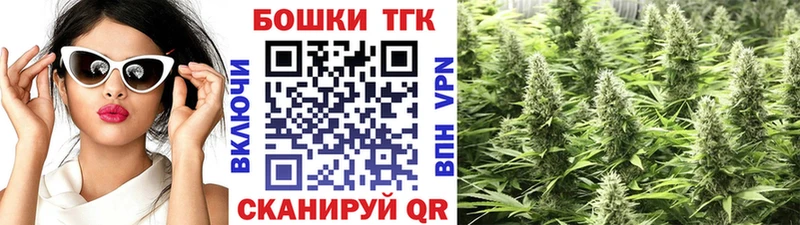 Шишки марихуана AK-47  Купить закладки  Никольск 
